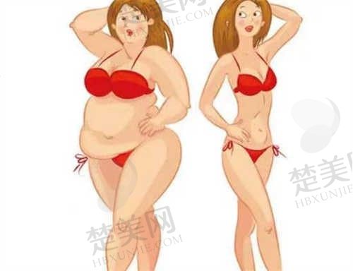 烟台绿叶爱丽美整形医院大肚子抽脂16470元起，优惠活动详情