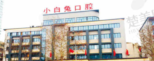 湖北荆门小白兔口腔