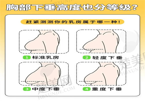 如何预约上海海华整形医院李营医生？