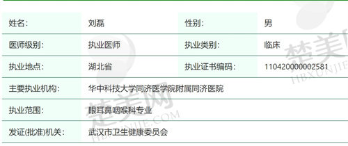 武汉何氏精益眼科刘磊医生简介