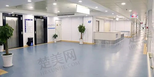  上海海华医院整形科电话
