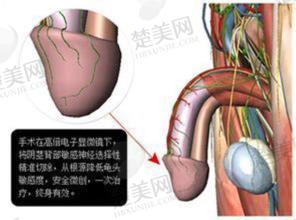 上海玻尿酸增粗医院哪家好
