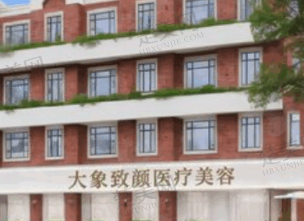成都高新大象致颜医疗美容门诊部怎么样
