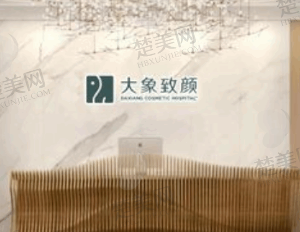成都高新大象致颜医疗美容门诊部口碑
