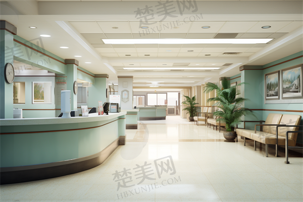 二、大拉皮项目的技术揭秘