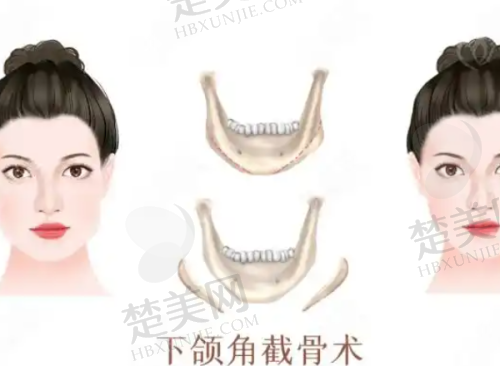 七、遵义利美康美容医院地址及交通