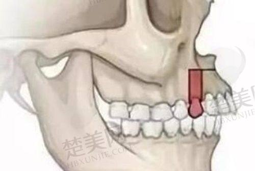 七、南阳植得口腔医院地址及交通