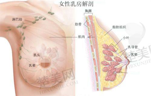 一、泸州韩美医疗美容门诊部正规吗?