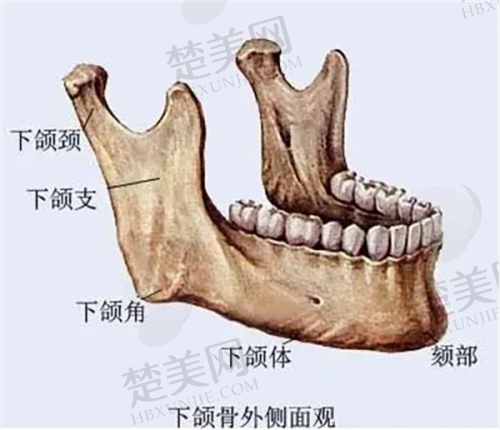 九、厦门魅湃整形外科门诊部真实的患者评价