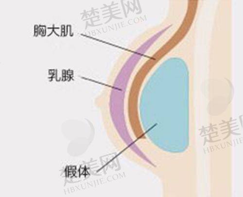 六、酒泉领傲医疗美容诊所价格表