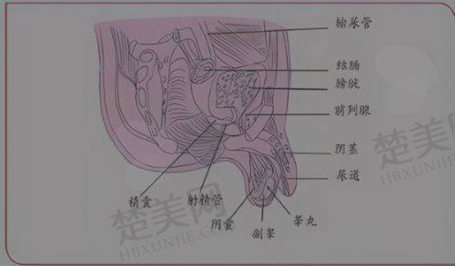 （七）保定世纪协和医院医疗美容科