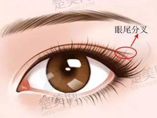 （六）保定名望医疗美容诊所