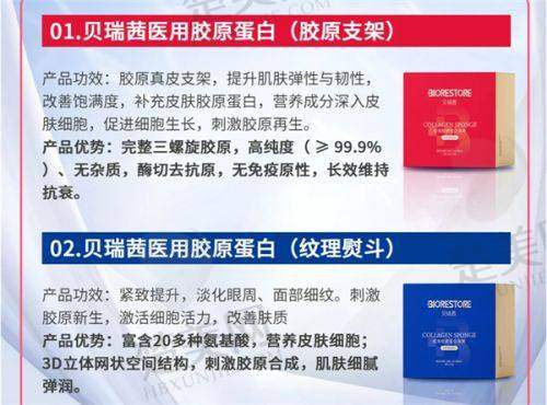 热门项目探讨