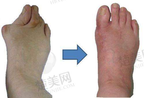 七、南昌蓝乔医疗美容门诊部地址及交通