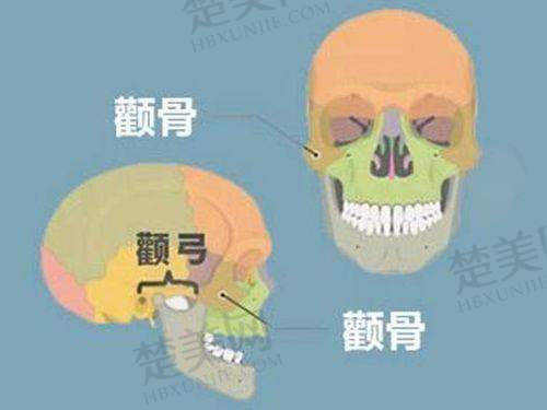 八、葛志鑫医生:上海驻颜的韩系风格代表