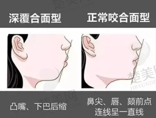 八、商洛牙管家口腔诊所预约方式