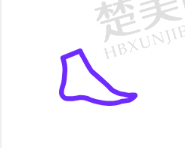 四、厦门菲思美科整形外科门诊部特色项目