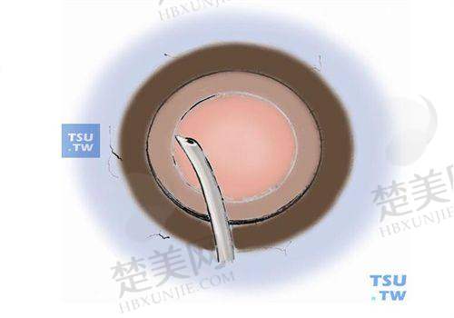 省钱攻略总结