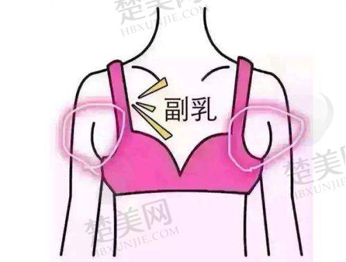 深圳国有医院整形科全新收费标准