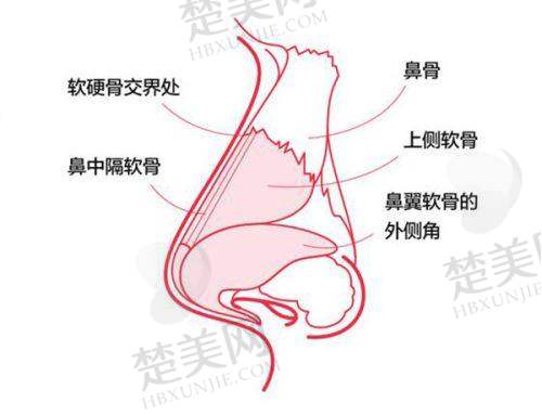 一、不同项目的华美整形美容医院价目表