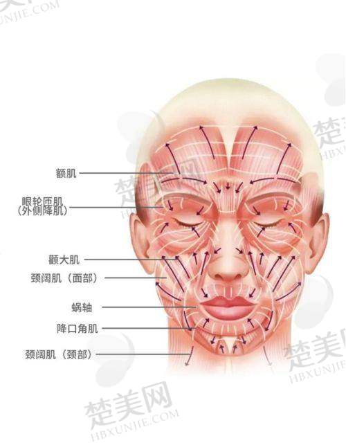 三、北京部分国有医院在大拉皮手术方面的优势