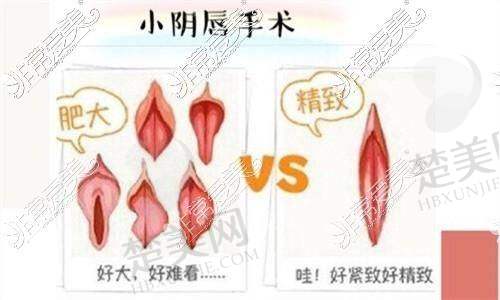 七、上海虹桥医院私密科地址及交通