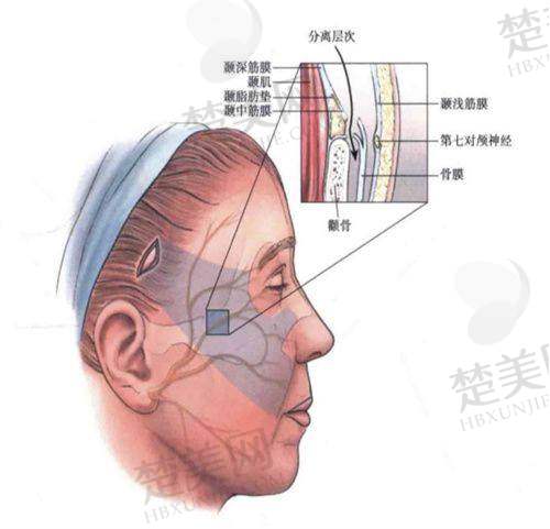 四、荥阳京城朵姿医疗美容诊所特色项目
