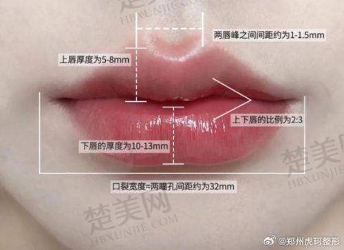 四、上海徐文龙做一个m唇手术的价格预估