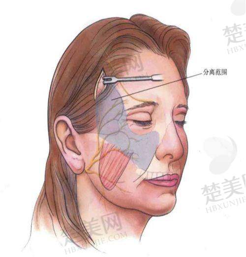 八、大同德尔美客医疗美容医院预约方式
