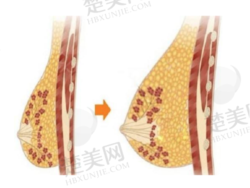 一、邯郸京美医疗美容门诊部正规吗？