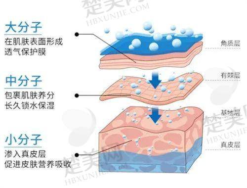 四、大同德尔美客医疗美容医院特色项目