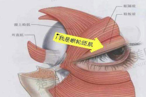 一、广州曙光医院：靠谱的医美选择