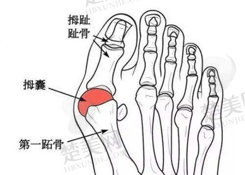 四、赤峰叶子医疗美容诊所特色项目