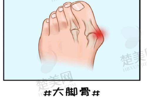 五、深圳宝丽医疗美容门诊部医生介绍