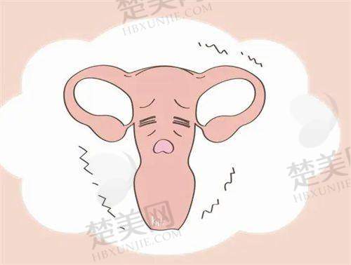 一、深圳阳光整形美容医院概况