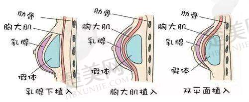 三、邹进进医生简介