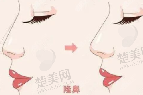六、总结与建议