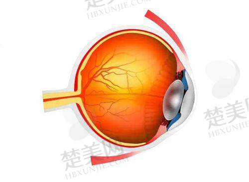 五、深圳普瑞眼科医院医生介绍
