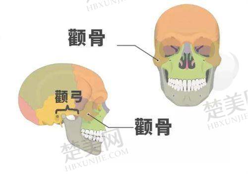 六、邯郸市第七医院美容整形科价格表