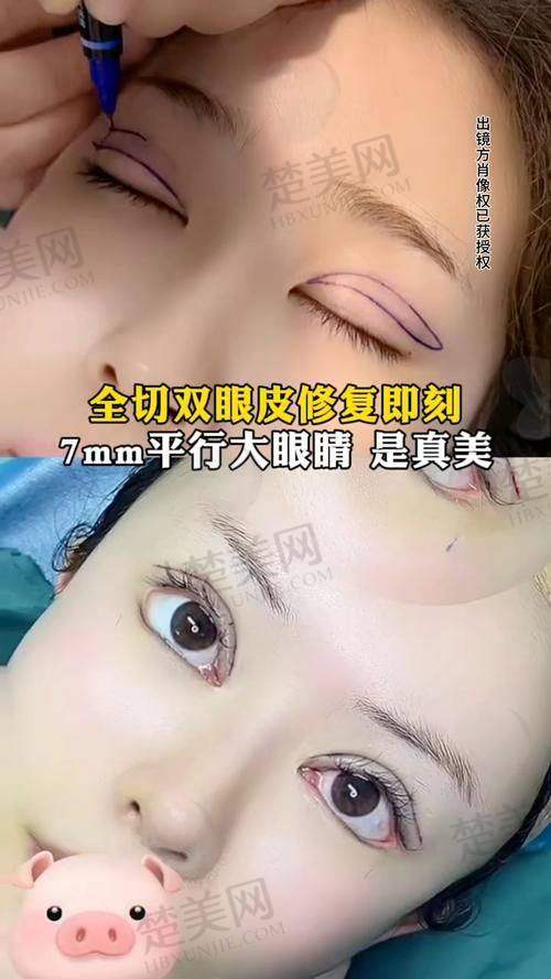 五、综合对比与展望