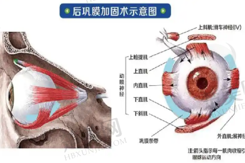 五、北京奥尔贝德医院的价格透明度与售后服务