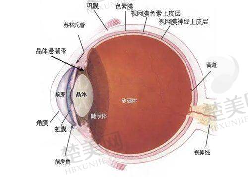 三、合肥普瑞眼科医院现场预约途径