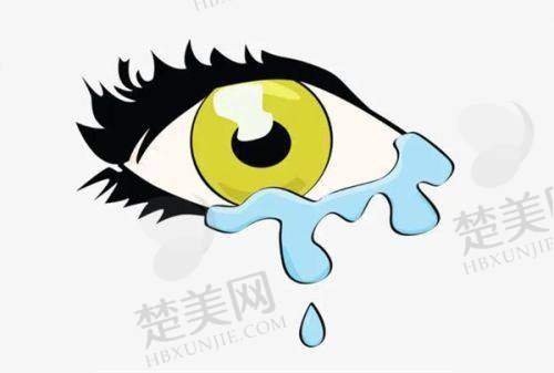 五、日本目立康圆锥Z - E1RGP的价格体系