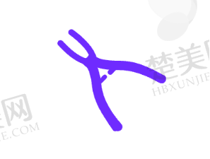 四、北海安囍口腔门诊部特色项目