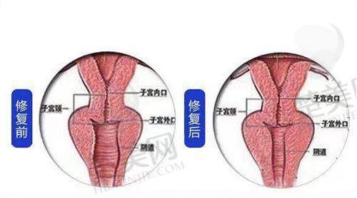 六、总结