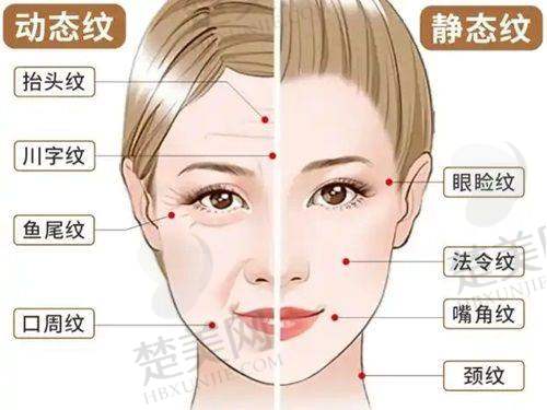 三、沈阳百嘉丽医疗美容医院诊疗项目有哪些？