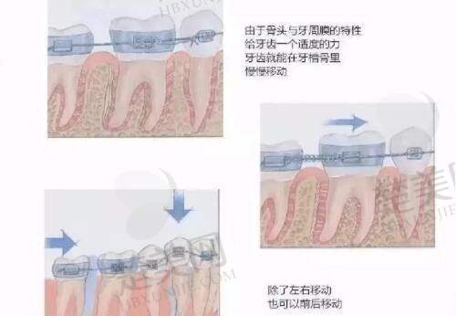 四、张效恩医生不同项目的临床成效及患者评价