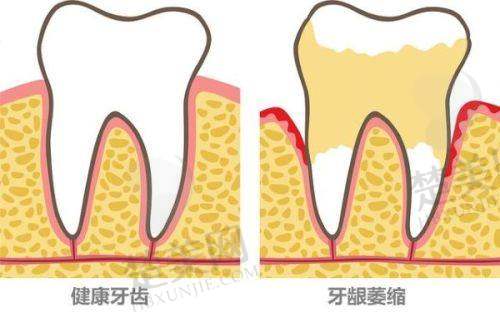 （三）价格表