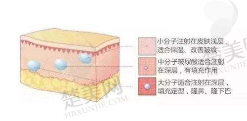 六、综合对比与选择建议