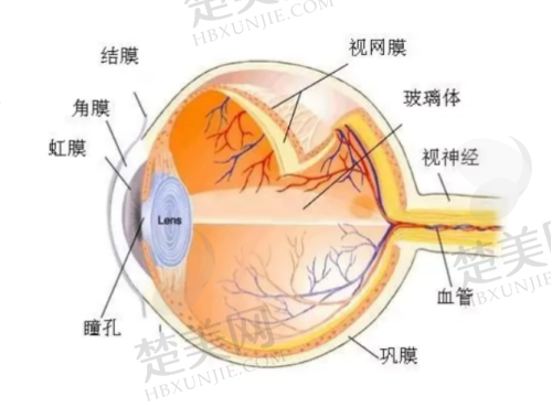 北京茗视光眼科医院在哪个区?东城区、朝阳区、顺义区均有分院及详细信息公布